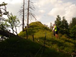 2013-07-20_Regina-F-Rau_Kochel-Rabenkopf (391).JPG